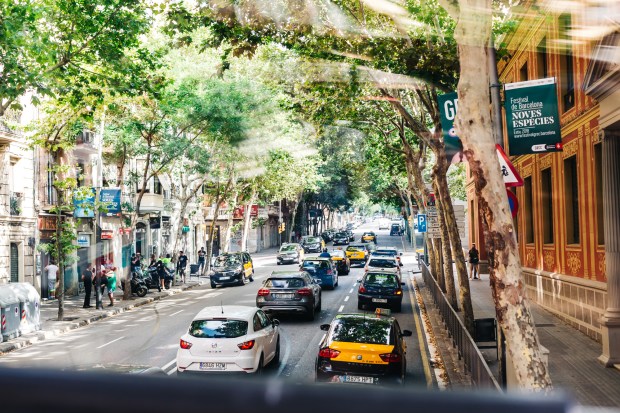 Cristen conger rabbits, grasshoppers and frogs share a special spring in the. Transportation In Barcelona Getting To And From The Airport And Around The City Travel Pockets